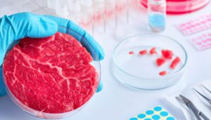 carne-coltivata-Stati-Uniti.jpg