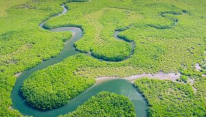 Brasile-Lula-deforestazione-Amazzonia.jpg